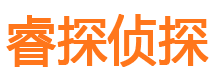 惠城市私家侦探